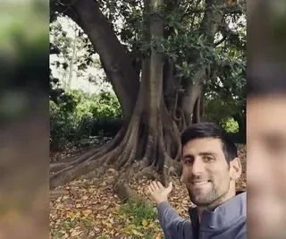 Novak i njegov stari prijatelj smokva